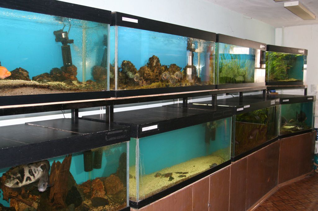 Экспозиция - Живая природа мира - 1